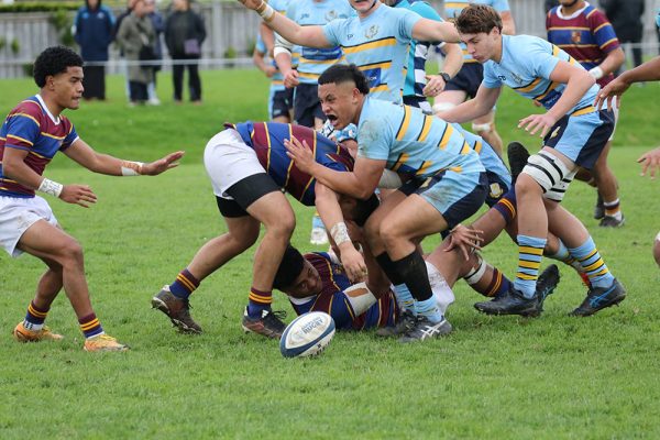 2024--Rugby-Boys--1XV-v-St-Pauls---56