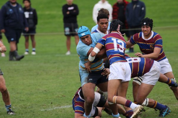 2024--Rugby-Boys--1XV-v-St-Pauls---70