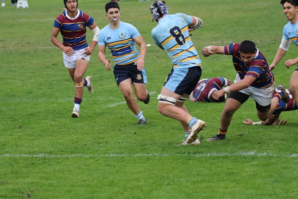 2024--Rugby-Boys--1XV-v-St-Pauls---75