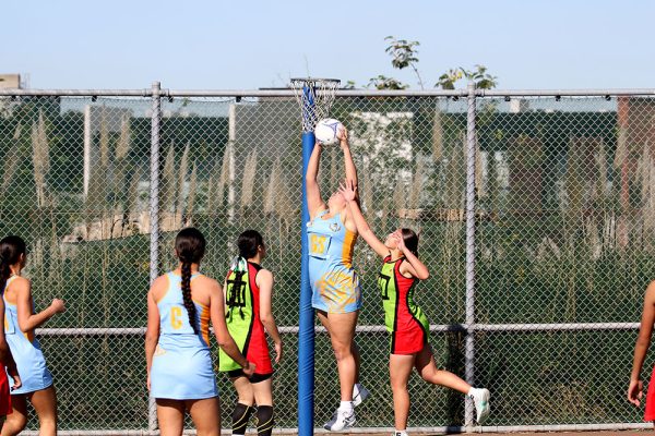 2024--Netball-Prems-Combined-Points-----11