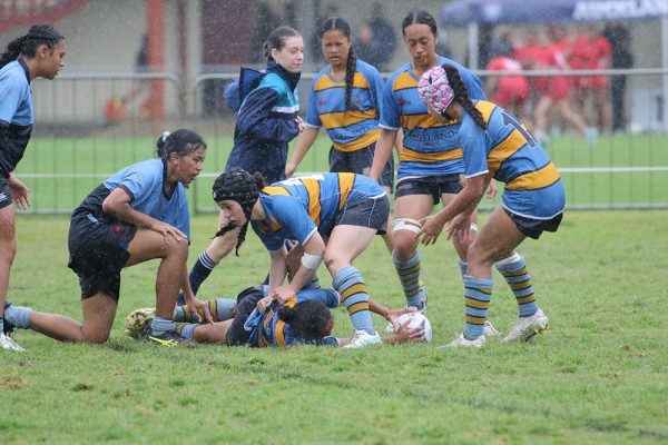 2024--Rugby-7s-Blues--Jnr-Girls--43